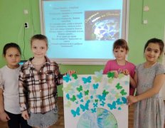 img (4)